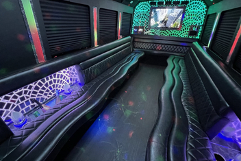 Lorain Limo Bus Interior